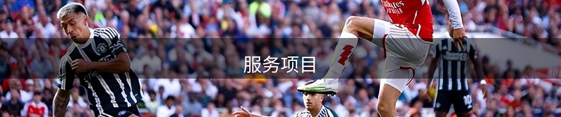 服务项目